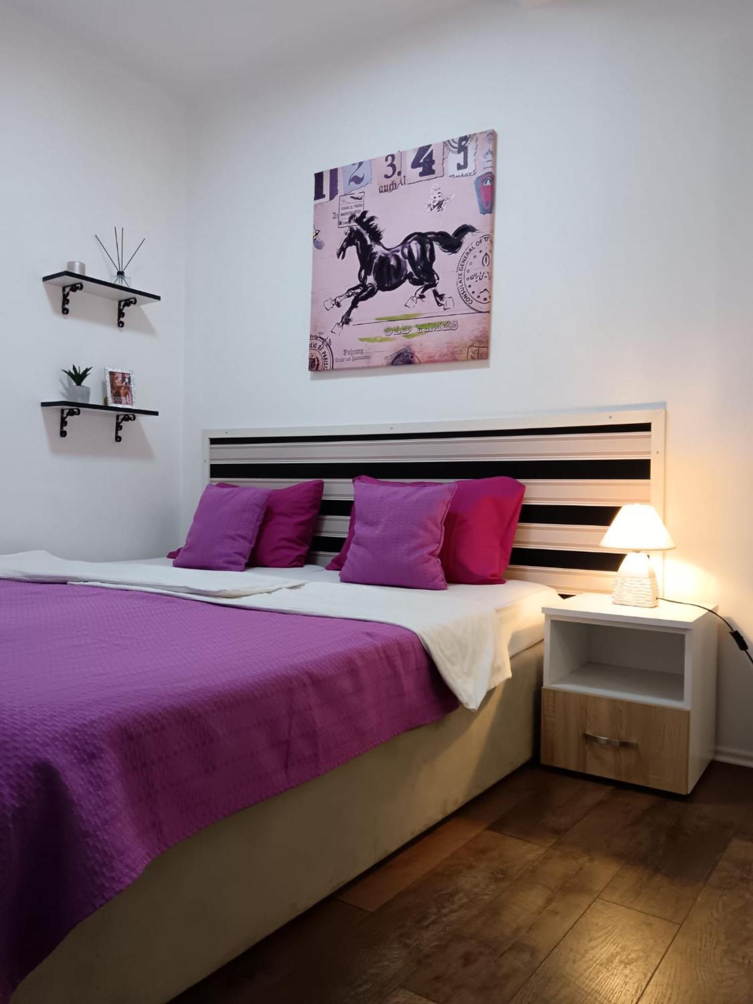 Easy Check In Apartments 021 Vladika Novi Sad Buitenkant foto